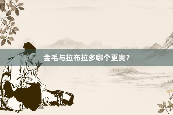 金毛与拉布拉多哪个更贵?