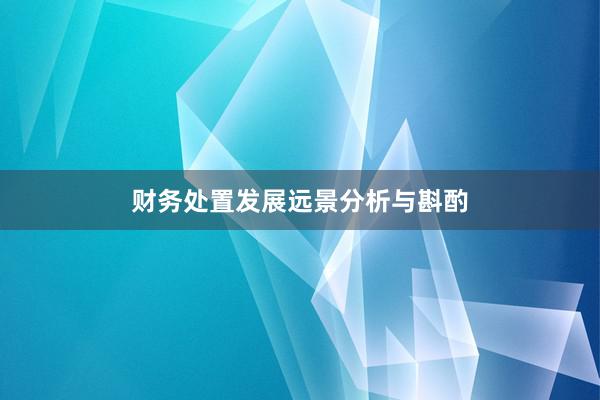 财务处置发展远景分析与斟酌